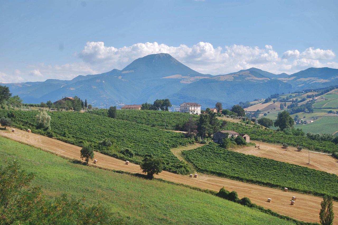 Bed and Breakfast La Girandola Cupramontana Exterior foto